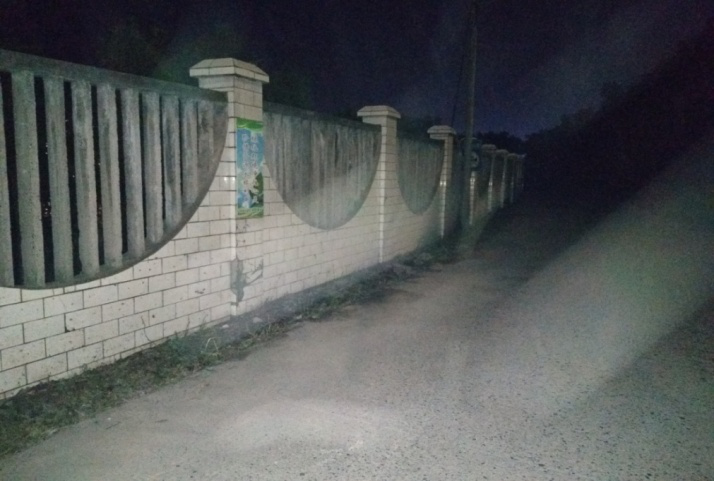 除草刷墻灑汗水,苗圃外貌換新顏