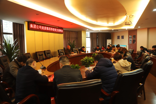 集團公司黨委召開(kāi)第四季度支部例會(huì )