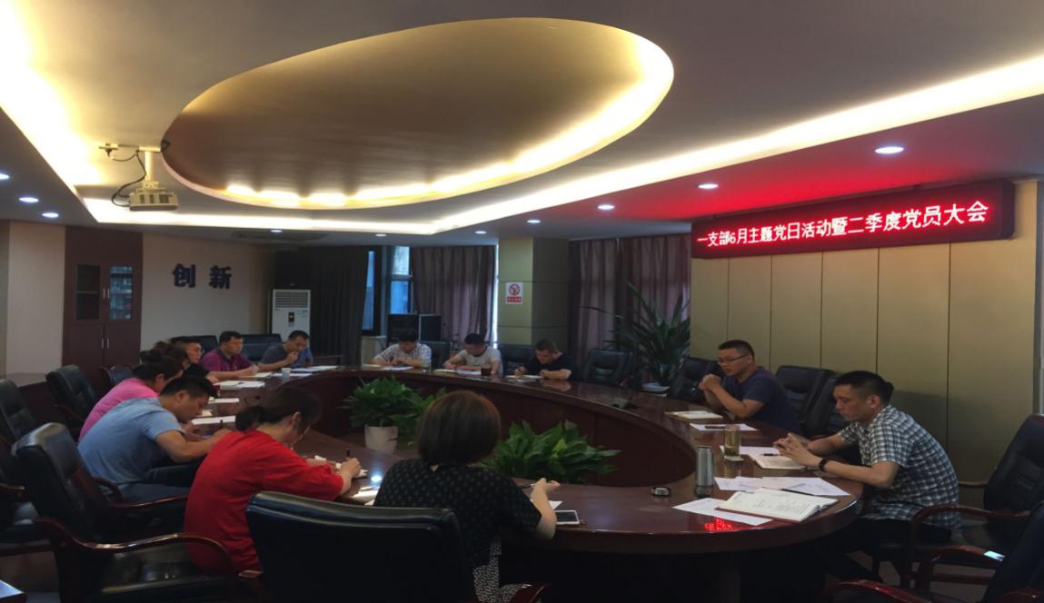 一支部開(kāi)展主題黨日活動(dòng)暨二季度黨員大會(huì )