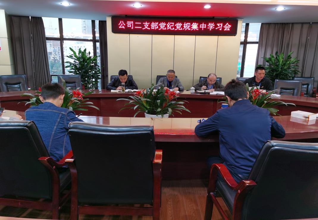 集團公司二支部召開(kāi)十月黨員大會(huì )暨黨建業(yè)務(wù)互融共促主題黨日活動(dòng)
