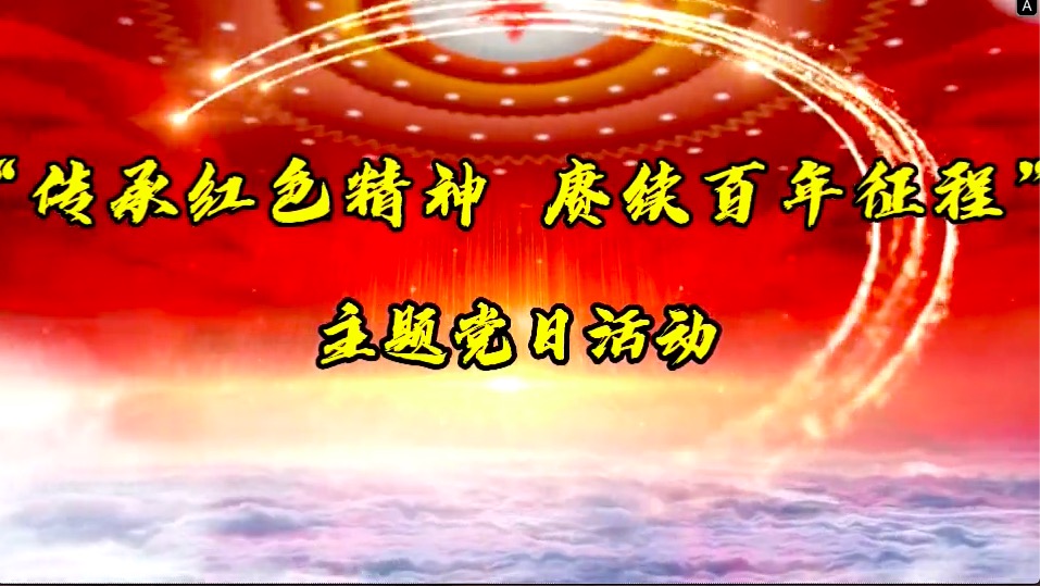 傳承紅色精神，賡續百年征程-共產(chǎn)黨員服務(wù)大隊主題黨日活動(dòng)