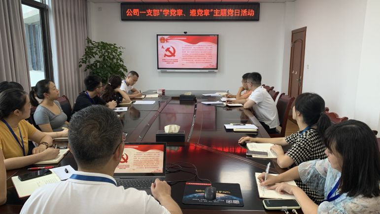 清源水務(wù)公司黨委組織開(kāi)展“學(xué)黨章、遵黨章”系列主題黨日活動(dòng)